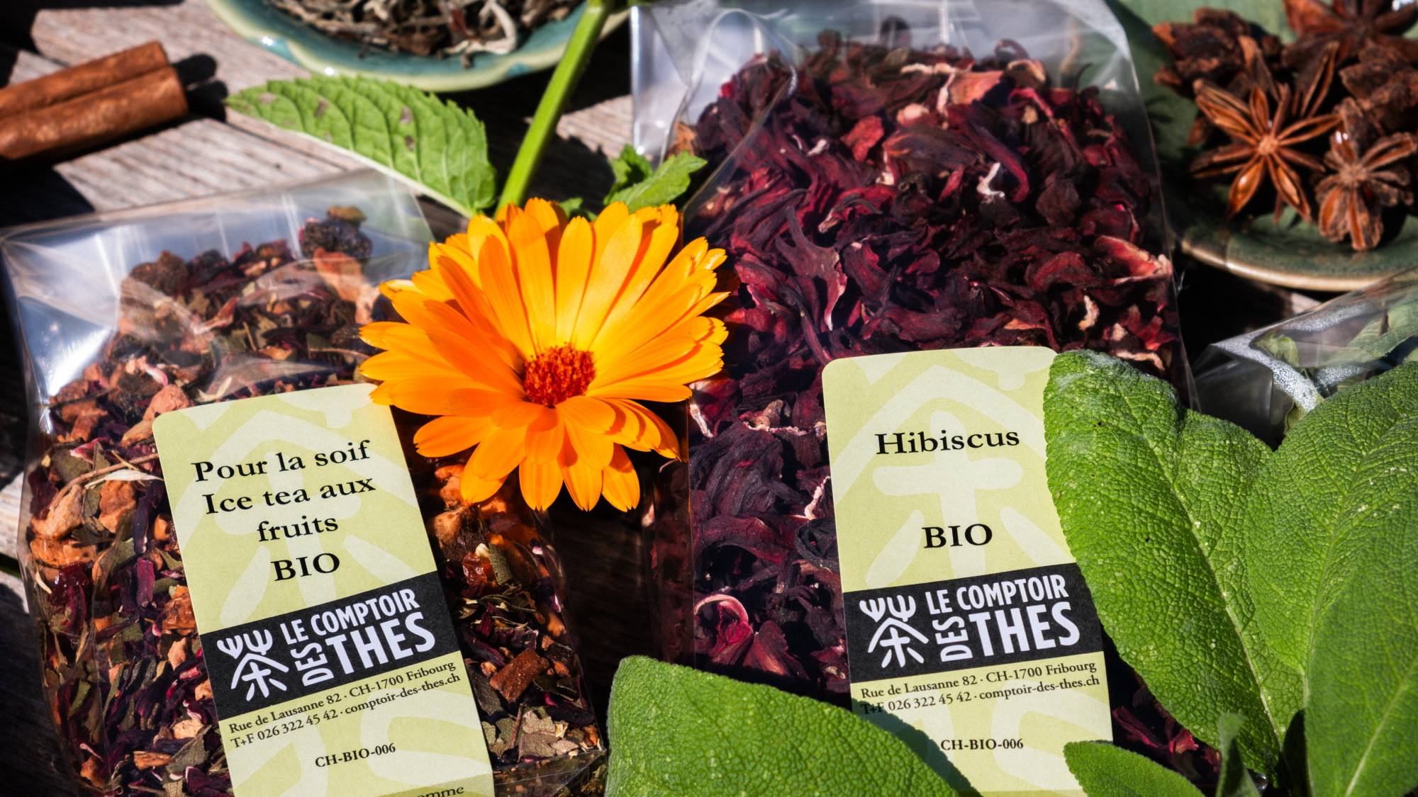 Photographie de thés et d'éléments bio.