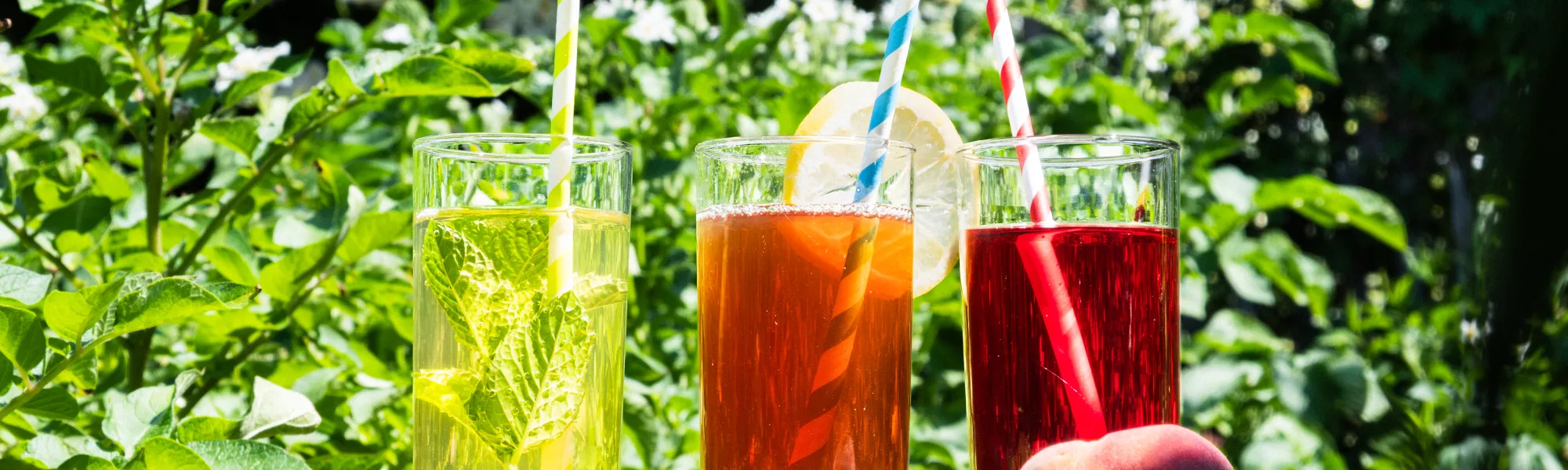 Trois thés froids dans un décor naturel.